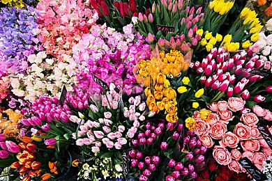 《灵魂骇客2》Ver.1.02免费更新 追加4只仲魔等